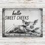 Metal Sign- Funny Pig Hello Sweet Cheeks Restroom Rectangle Metal Sign