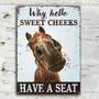 Metal Sign- Hilarious Horse Why Hello Sweet Cheeks Blue Rectangle Metal Sign
