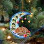 Ornament- Fox-Sleep On The Moon Christmas Two Sided Ornament, Happy Christmas Ornament, Car Ornament