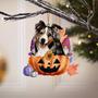 Australian Shepherd-Gnomes Pumpkins Hanging Ornament