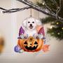 Bichon Frise-Gnomes Pumpkins Hanging Ornament