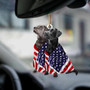 Black And Silver Labrador Retriever American Patriot Flag Two Sided Ornament
