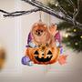 Pomeranian-Gnomes Pumpkins Hanging Ornament