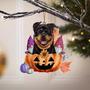 Rottweiler-Gnomes Pumpkins Hanging Ornament