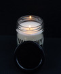 Vasectomy Gift, Vasectomy Gifts, Vasectomy Humor, I Survived Vasectomy, Vasectomy Survivor 9 oz Vanilla Scented Soy Candle