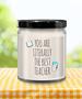 You are Literally The Best Teacher Candle 9 oz Vanilla Scented Soy Wax Blend Candles Funny Gift
