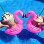 Cute Pool/beach Cup Holders