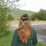 Arwen Crown, Elf Crown, Wire Wrapped Butterfly Crown, Arwen Coronation Crown, Wedding Crown, Elf Costume