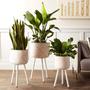 White Round Bamboo Flower Plant Basket with Wood Legs Set of 3 Home Decor copy