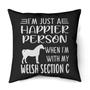 Happier person Welsh Section C