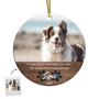 Personalized Pets First Christmas Ornament | Gift For Pet Lovers | Christmas | Custom Photo Ornament