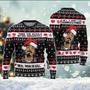 All I Want For Xmas Is Snoop Dogg Ugly Xmas Sweater, High School Reunion Tour Sweatshirt