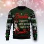 Boston Terrier Im Cute Ugly Christmas Sweater