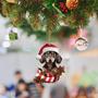 Custom Photo Ornament, Christmas Pet Ornament, Christmas Gift For Pet Lover