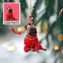 Customized Photo Ornament - Personalized Photo Mica Ornament - Christmas Gift For Pet Lovers, Dog Mom, Cat Mom