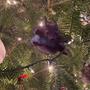 Funny Christmas Ornament - Flying Squirrel