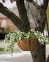 Coconut Fiber Hanging Basket Coco Liner For Flowers Basket 12 Inch