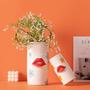 Aesthetic Red Lips Printing Ceramic Vase Cute Flower Vase Office Bedroom