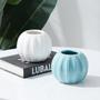 White Blue Modern Home Garden Supplies Office Mini White Succulent Ceramic Pot