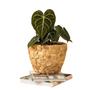 Decorative Home And Garden Indoor Natural Water Hyacinth Planter Pot Gardening Flower Green Plant Pots Storage Baskets