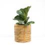 Eco-Friendly Medium Natural Rattan Flower Pots Planters Rattan Plant Basket And Waste Bin