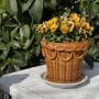 Eye-Catching Handwoven Rattan Plant Pot Natural Round Rattan Flower Pot