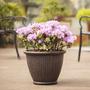 Garden Outdoor Hotels Round Tall Braided Urn Box Plastic Rattan Resin Wicker Look Planter Wicker Plant Pot For Flowers