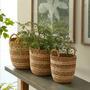 Hand Woven Braided Seagrass Basket Storage With Handles Seagrass Laundry Basket Seagrass Plant Basket