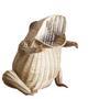 Handicraft Frog Arrangement Basket for Blankets Shoe Towel Laundry Toys Sundries