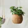 Hanging Rattan Basket For Plant Holder Unique Garden Decorative Flower Pot Back Yard Decor Plants Planters
