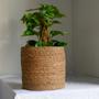 Natural Seagrass Woven Basket Handmade Indoor Plants Flower Pots And Planters