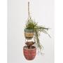 Colorful Seagrass Handwoven Wall Hanging Planters For Indoor Home Decor