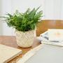 Set of 3 Natural White Bamboo Woven Planter Bamboo Flower Pot Suitable For Planting Small Trees Corner