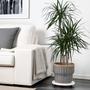 Sustainable Rattan Plant Pot Pedestal Rattan Grey Indoor Planter Holders For Home