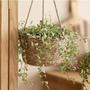 Vintage Foldable Hanging Flower Basket For Plant Pastoral Style Woven Straw Flower Basket