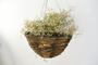 Weave Round Willow Cone Planter Hanging Flower Basket With Wire Hanger