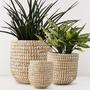 Woven Mini Set of 3 Seagrass Planters Storage Basket Plant Holder Storage Basket