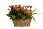 Brown Rectangular Rattan Decorative Storage Basket For Planters with Liners and Handles