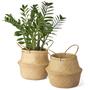 Set of 2 Medium Sedge Wicker Planters Belly Basket Plant Basket with Plastic Liner and Handles