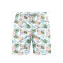 Aesthetic Tropical Pig Beach Shorts For Men