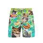 Colorful Cats Beach Shorts For Men