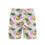 Flamingo With Summer Fruits Beach Shorts For Men