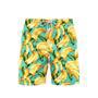 Summer Aloha Banana Beach Shorts For Men