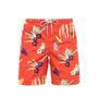 Summer Beach Shorts For Men