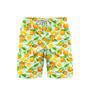 Watercolor Orange Fruit Pattern Beach Shorts For Men