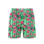 Watermelon Slices And Tropic Leaves Beach Shorts For Men