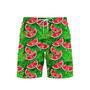 Watermelon With Tropical Leaves Beach Shorts For Men