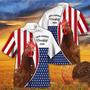 Independence Day Chicken Rooster Make America Cowboy Again With American Flag Pattern Hawaii Hawaiian Shirt