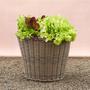 Elegant Wicker Taper Planter for Flower Gardens