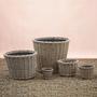 Elegant Wicker Taper Planter for Flower Gardens